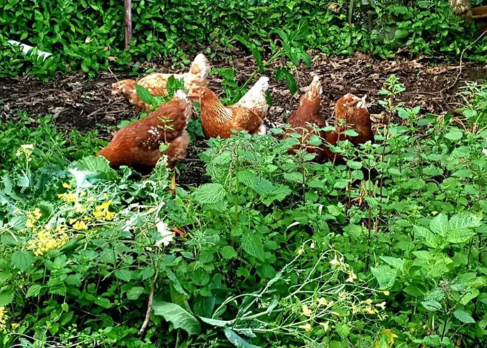 Casa Arneles Playa Dom wakacyjny Hio